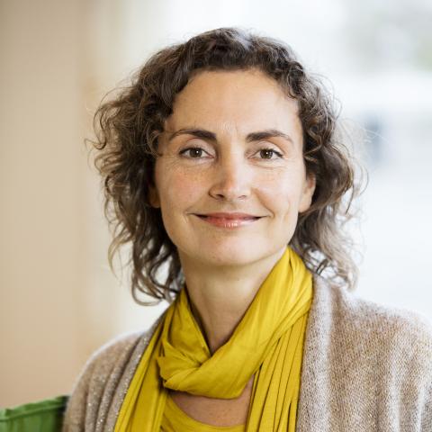 Sandra Stroeve